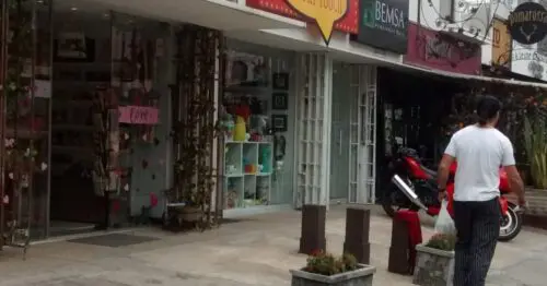 THE MOSHI MOSHI SHOP THE MOSHI MOSHI SHOP